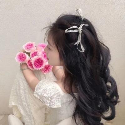 清理者